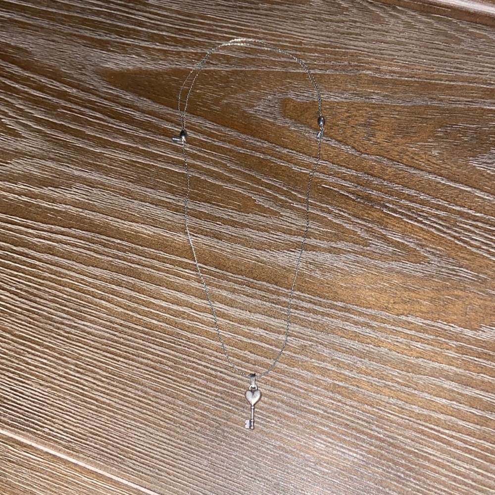 Alex and Ani adjustable necklace